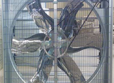 點(diǎn)擊查看詳細(xì)信息<br>標(biāo)題：Push Pull Negative Pressure Fan 閱讀次數(shù)：1473