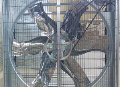 點(diǎn)擊查看詳細(xì)信息<br>標(biāo)題：Push Pull Type Animal Husbandry Fan 閱讀次數(shù)：2168